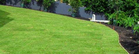 Which products kill weeds in buffalo lawn Couch Perth | Roll on Lawn, Turf, Grass - Perth WA