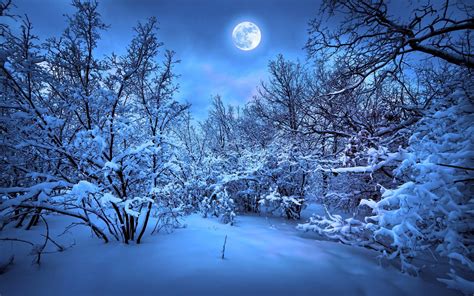 Winter Themed Wallpaper 70 Images