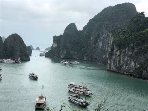 Halong Bay Tours Hanoi 2021 All You Need To Know Before You Go