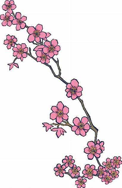 Blossom Cherry Clipart Flowers Dragonvale Pages Ltd