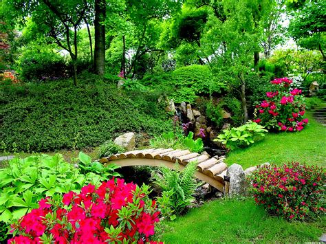 Wallpaper Beautiful Nature Flowers Garden On Hd For Mobile