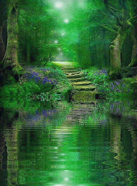 Enchanted Forest Scenery Beautiful Nature Nature