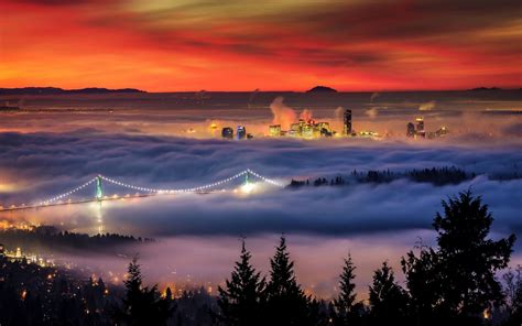 Nature Landscape Mist Cityscape Vancouver Trees Bridge Building