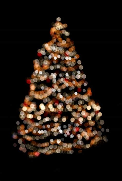 🥇 Image Of Christmas Tree Overlay Black Background Free Photo 100036364
