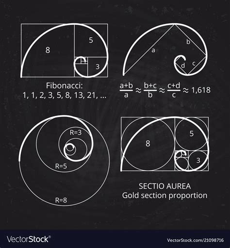Scheme Golden Ratio Section Fibonacci Spiral Vector Image