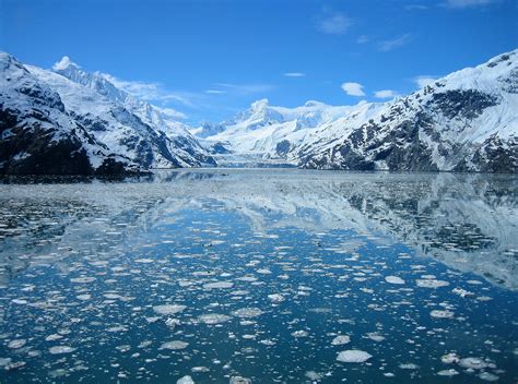 Johns Hopkins Glacier Glacier Bay National Park Alaska By Boat
