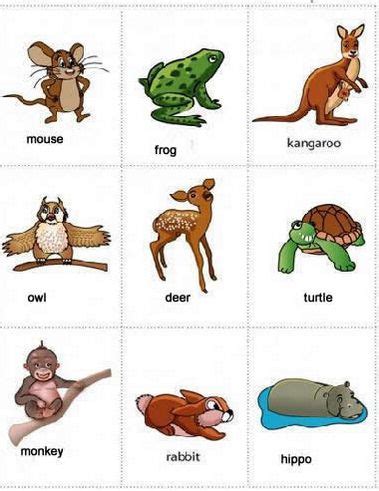 nama hewan dalam bahasa inggris 3 | Learning english for kids, Animal pictures for kids, Animal