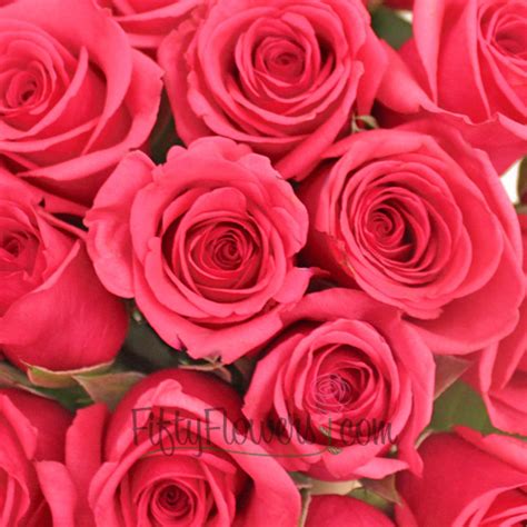 Pink Tenga Venga Sweetheart Rose