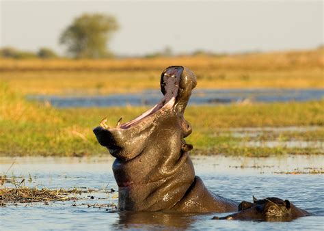 Visit The Kafue National Park In Zambia Audley Travel Uk