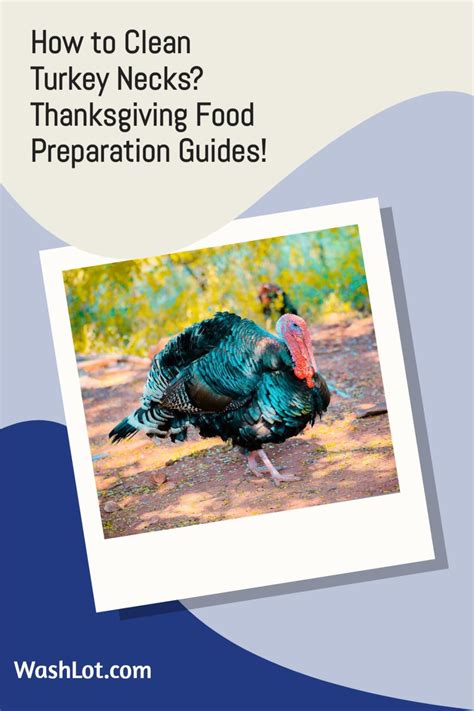 How To Clean Turkey Necks Thanksgiving Food Preparation Guides