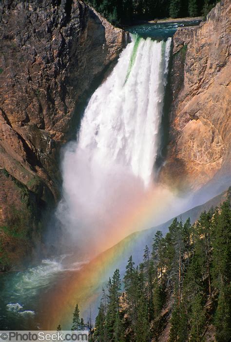 Yellowstone Falls Rainbow In Grand Canyon Of The Yellowstone