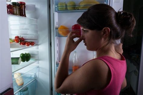 Removing Spoiled Food Odors From Refrigerator Thriftyfun
