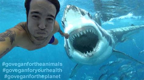 Man Takes Selfie With Shark Then Gets Eaten Youtube