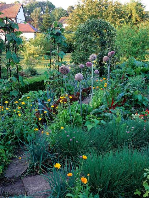 Flowers And Plants Edible Garden Organic Vegetable Garden Vegetable