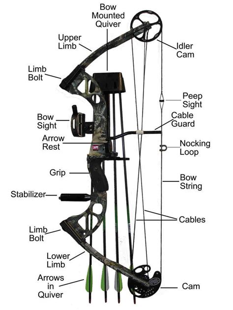 Compound Bow And Its Parts Compound Bow Archery Bows