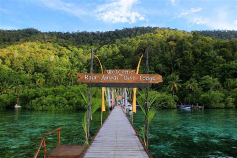 Raja Ampat Dive Lodge 135 ̶1̶8̶7̶ Prices And Hotel Reviews