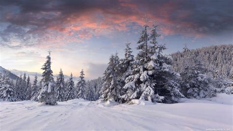 Amazing 4k Winter Wallpapers Top Free Amazing 4k Winter Backgrounds