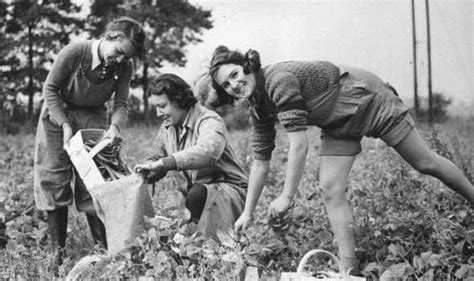 A Tribute To The Land Girls Of The Second World War Express Comment