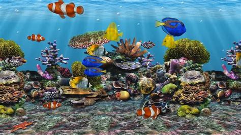 The Best Virtual Aquariums For Your Pc