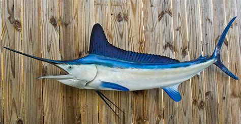 White Marlin 85l Inch Full Mount Fiberglass Fish Replica The Fish