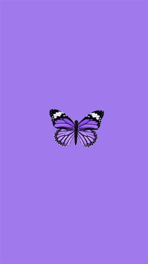 Purple Aesthetic Butterflies Wallpapers Wallpaper Cave