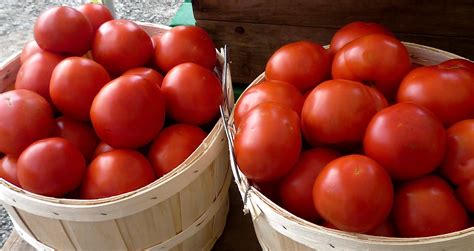 Tomatoes The Seasonal Gourmet