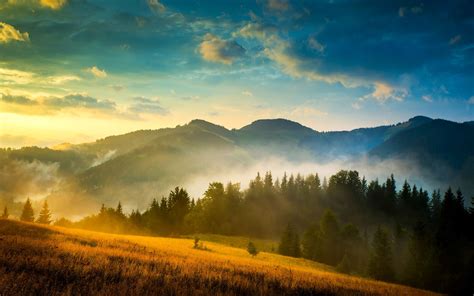 Wallpaper Ukraine Carpathians Forest Mountains Fog Clouds Sun