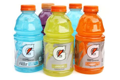 Can Dogs Drink Gatorade When Should It Be Given