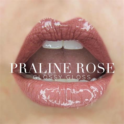 Praline Rose LipSense Distributor 416610 Senegence Lipsense Makeup