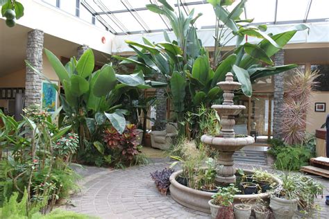 Garden Atrium Tropical Hall Dc Metro By Sustainable Design