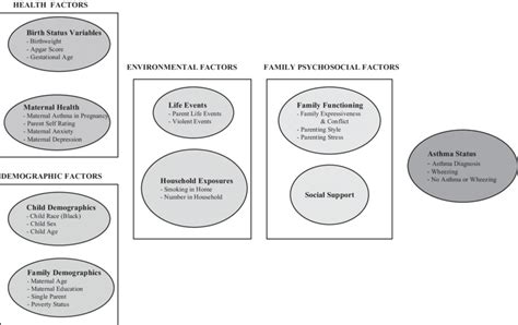 Biopsychosocial Model Of Risk Categories For Asthma Status In Early