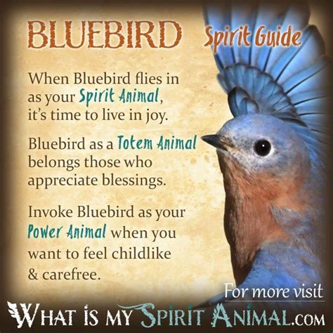 Bird Symbolism And Meaning Animal Spirit Guides Animal Symbolism