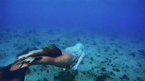 15 Photos Of A Real Life Mermaid You Have To See To Believe