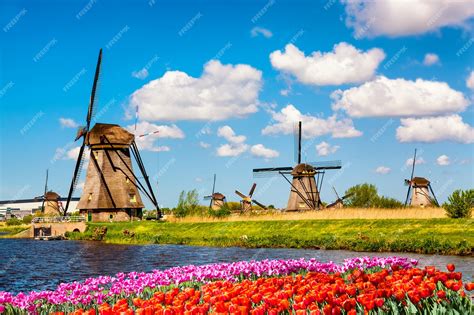 Premium Photo Famous Windmills In Kinderdijk Village With A Tulips