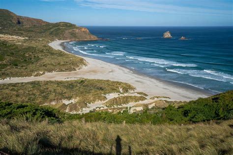 12 Best Road Trip Stops On The East Coast Of The South Island New Zealand