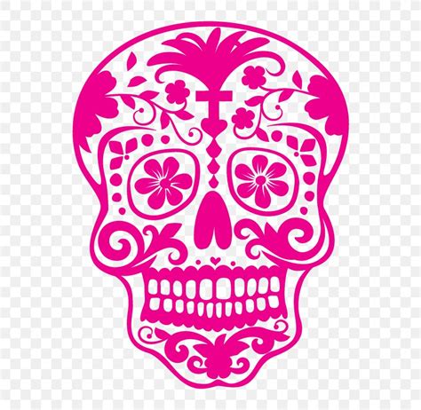 Calavera Day Of The Dead Mexican Cuisine Skull Clip Art Png 600x800px