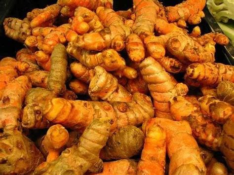 Fresh Turmeric At Best Price In New Delhi By BG Baljeet Singh