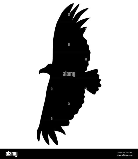 Vector Silhouette Of The Bird Of Prey Eagle In Flight With Wings