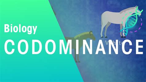 Incomplete dominance is that he has yet to win the championship even though it is destined to take place, in spite of stephen curry s excellence. Codominance | Genetics | Biology | FuseSchool - YouTube