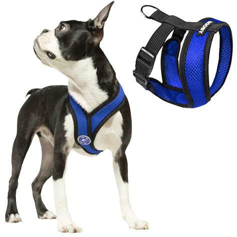 The Gooby Small Dog Harness Is Up To 76 Off On Amazon