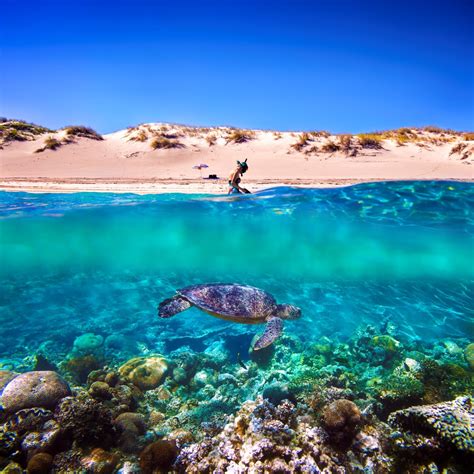 australia s top 10 beaches for 2017 australian geographic