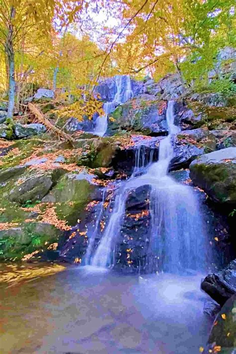 The Best Waterfalls In Shenandoah National Park