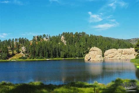 Mini Guide For Custer State Park And Black Hills National Forest