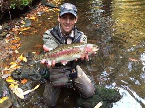 Fly Fishing Fall Visit Nc Smokies