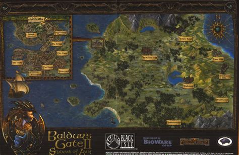 Baldur's gate 3 первый и второй патч. How big world do you want? - Pillars of Eternity: Stories ...