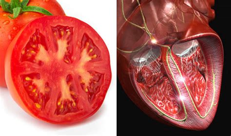 Foods That Look Like Body Parts Theyre Good For