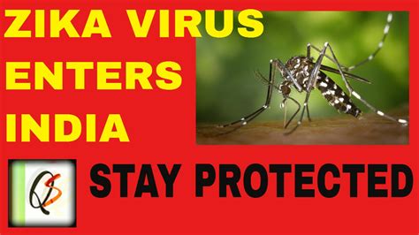 Zika Virus In India And Its Facts Symptoms Prevention Risk And Treatment