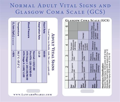 Nursing Lanyard Cards Nurse Vital Signs Glasgow Coma Scale