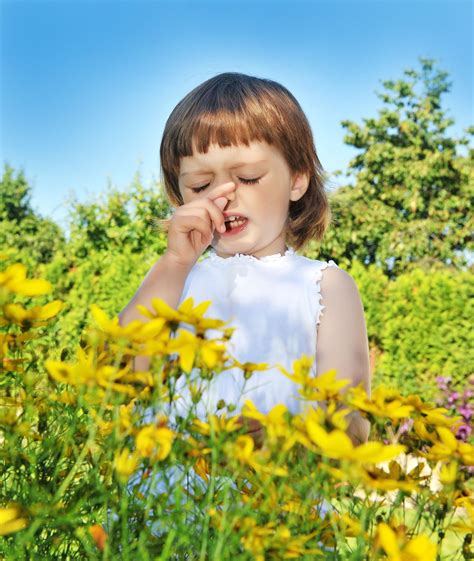 Seasonal Allergies In Children Niteowl After Hours Urgent Care