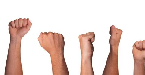 Outra palavra que acompanha a democracia, desde a sua origem, é a palavra cidadania, que significa, em geral. O que é democracia? Significado e principais tipos - Toda ...